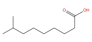 8-Methylnonanoic acid